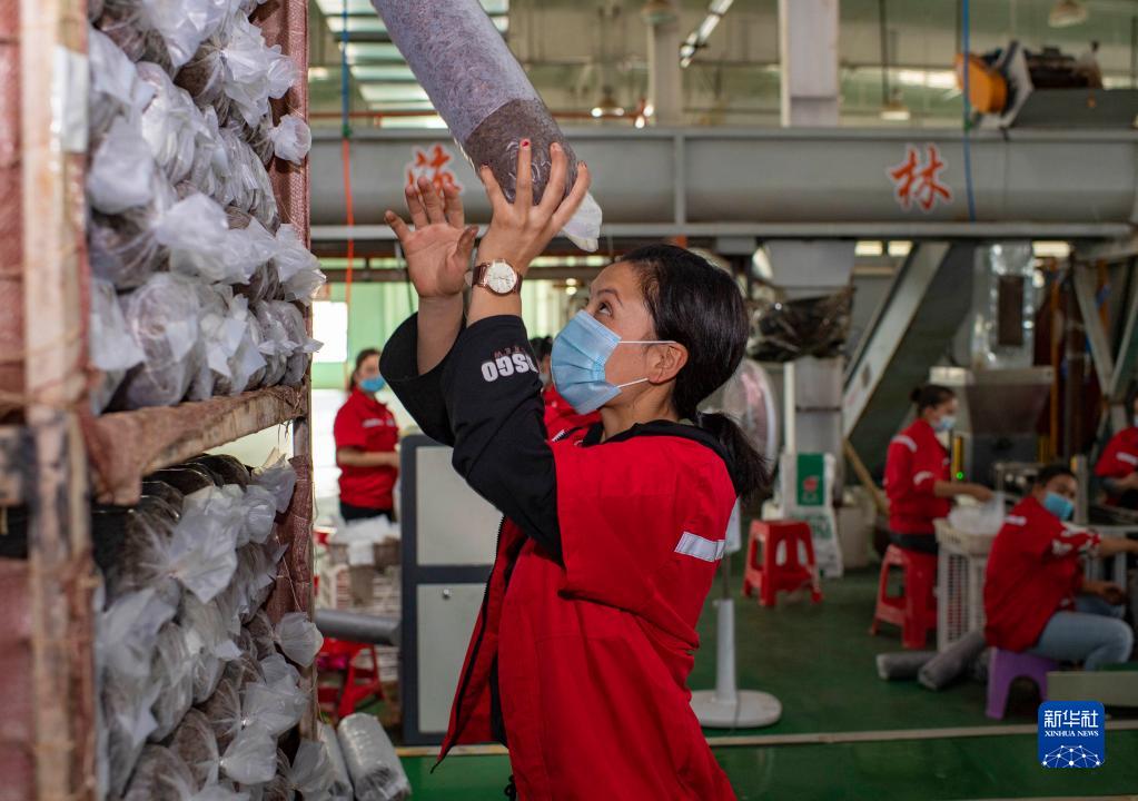 领航中国｜彪炳史册的人间奇迹——党的十八大以来我国脱贫攻坚成就举世瞩目